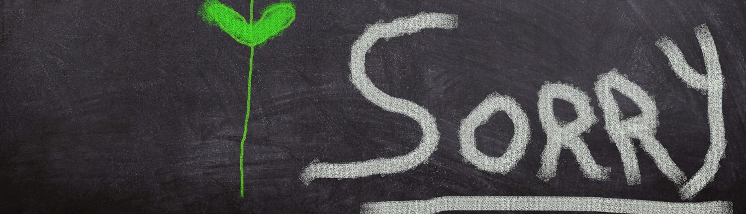 Schoolbord bloem en sorry uitsnede header
