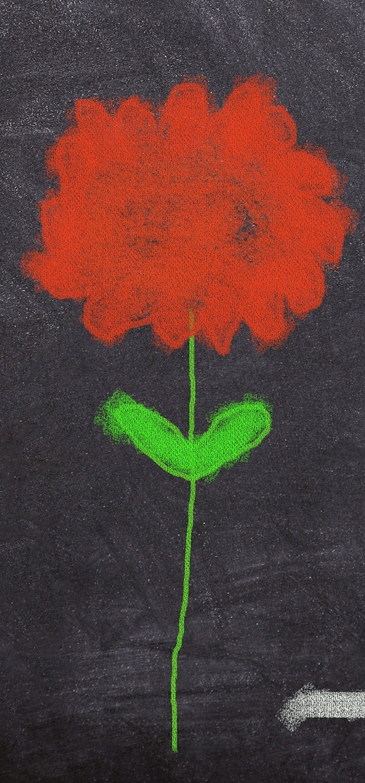 schoolbord bloem (uitsnede)